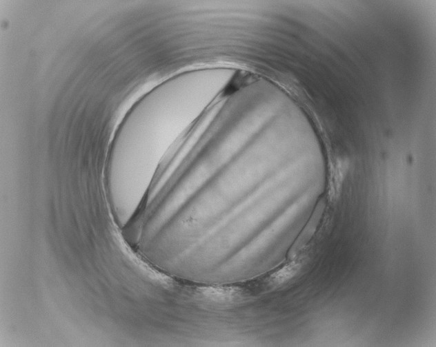 X0000051890805200507151937