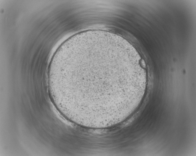 X0000051890808200507151937