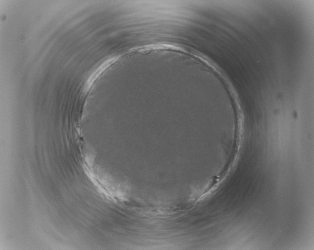 X0000051890809200507151937