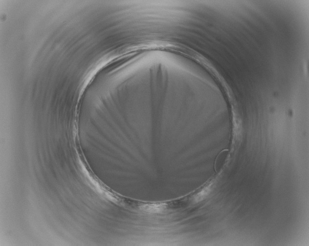 X0000051890810200507151937