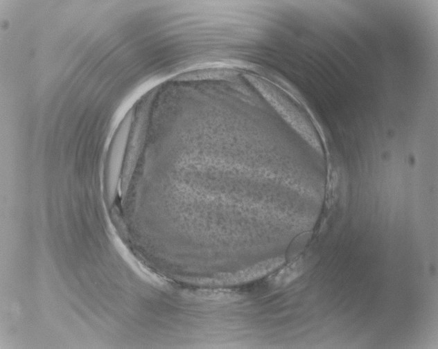 X0000051890811200507151937