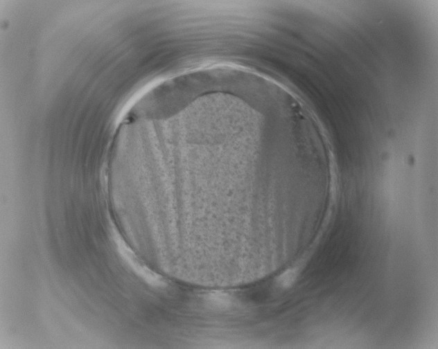 X0000051890814200507151937