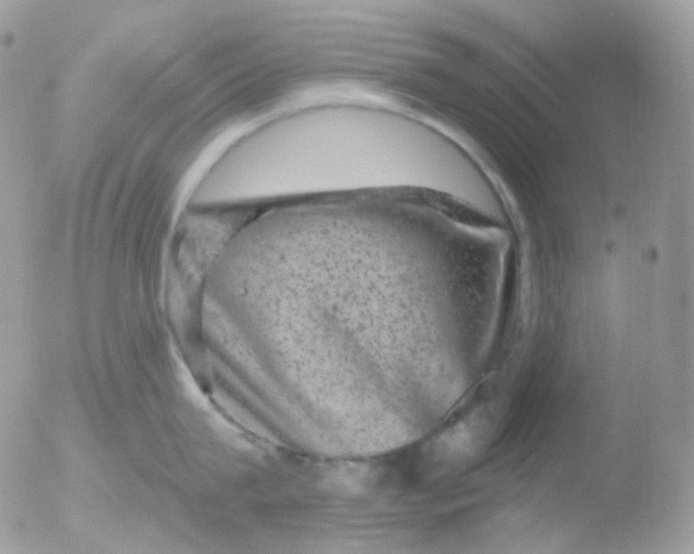 X0000051890815200507151937