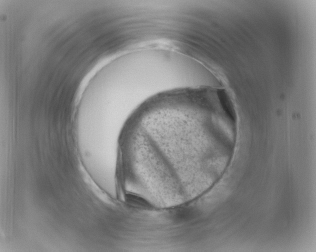 X0000051890816200507151937