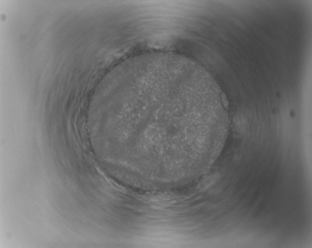 X0000051890817200507151936