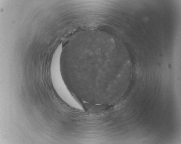 X0000051890818200507151936