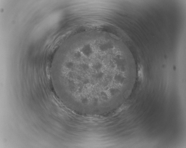 X0000051890819200507151936