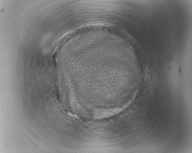 X0000051890821200507151936