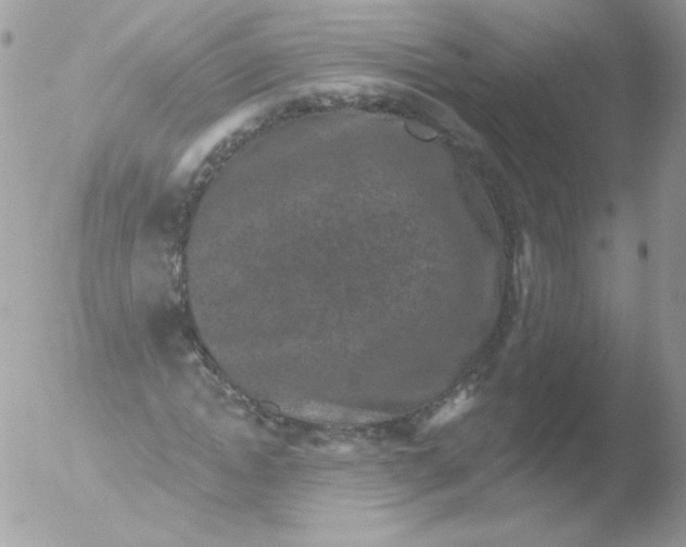 X0000051890822200507151936