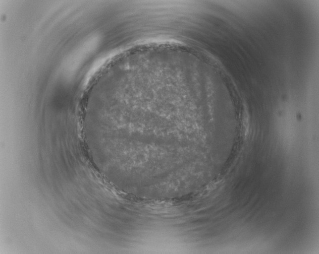 X0000051890823200507151936