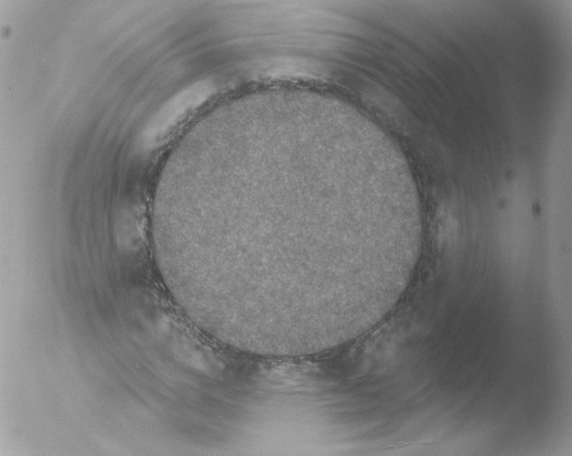 X0000051890824200507151936