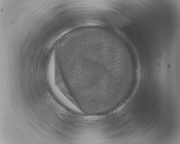 X0000051890825200507151936