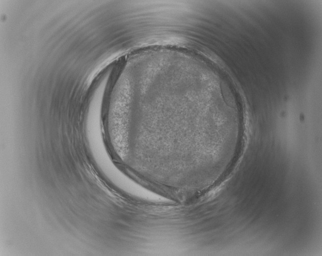 X0000051890826200507151936