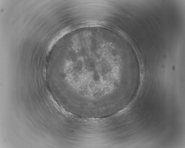 X0000051890827200507151936