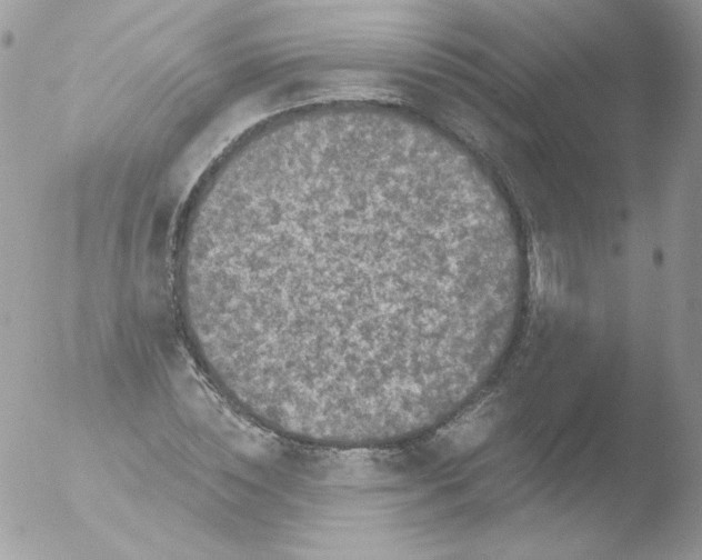 X0000051890828200507151936