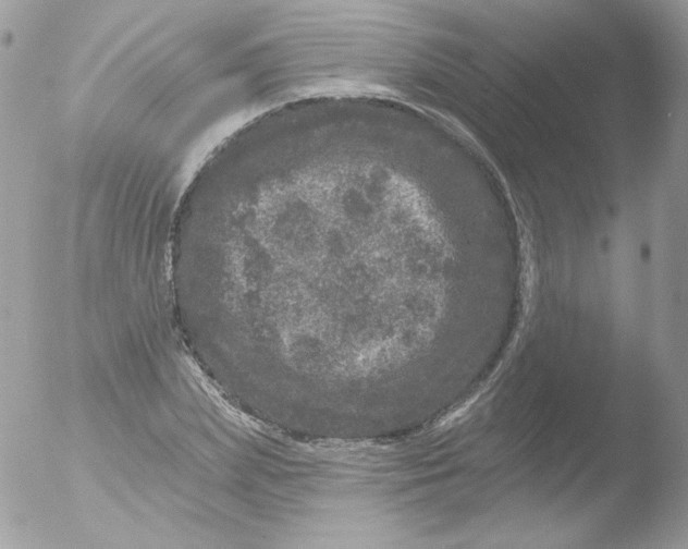 X0000051890831200507151936