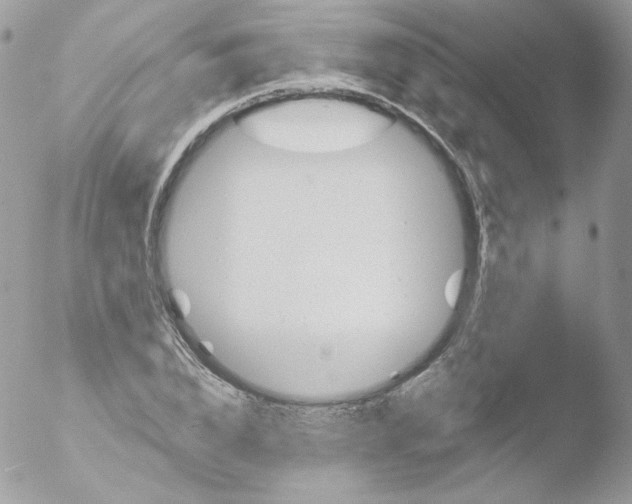 X0000051890832200507151936