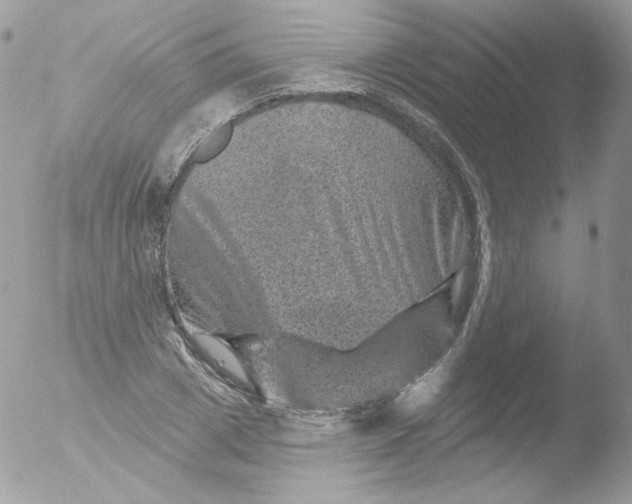 X0000051890833200507151936