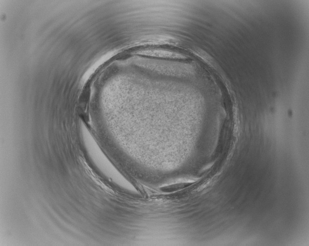 X0000051890834200507151936