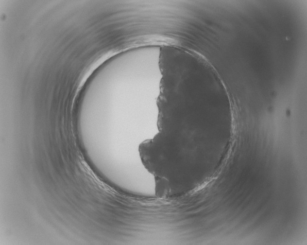 X0000051890835200507151936