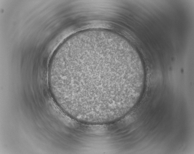 X0000051890836200507151936