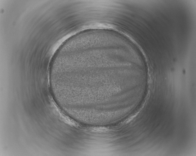 X0000051890837200507151936