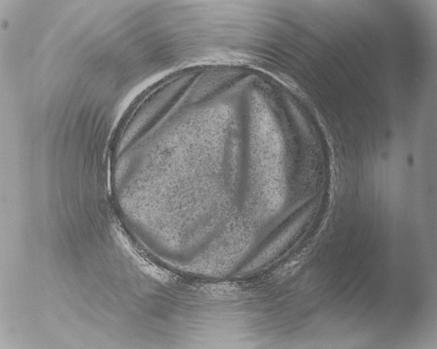 X0000051890838200507151936