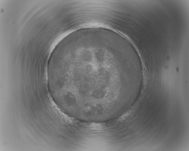 X0000051890839200507151936