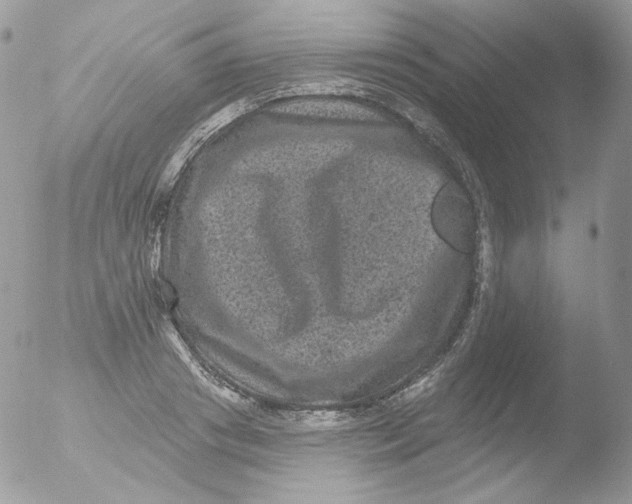 X0000051890841200507151936