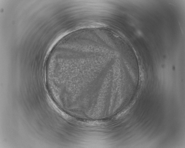 X0000051890843200507151936