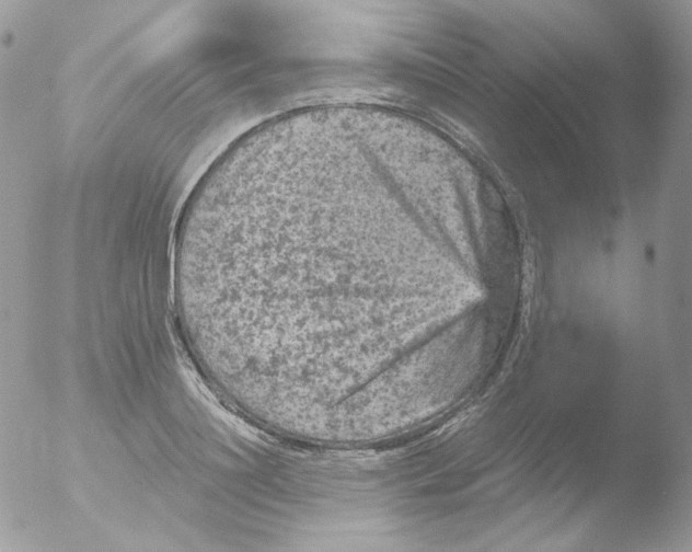 X0000051890844200507151936