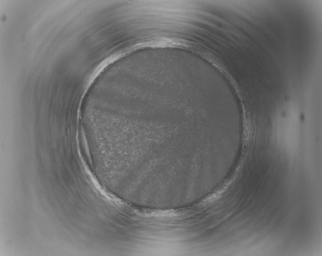 X0000051890845200507151936