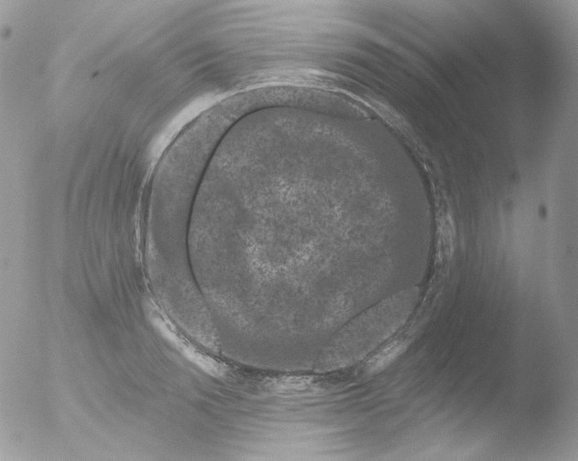 X0000051890846200507151936