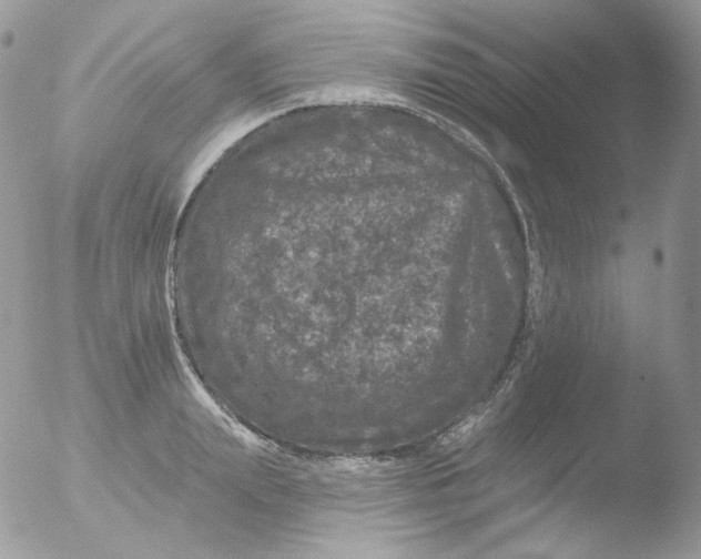 X0000051890847200507151937