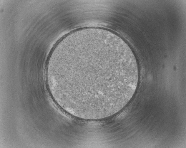 X0000051890848200507151937