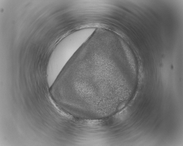 X0000051890849200507151937