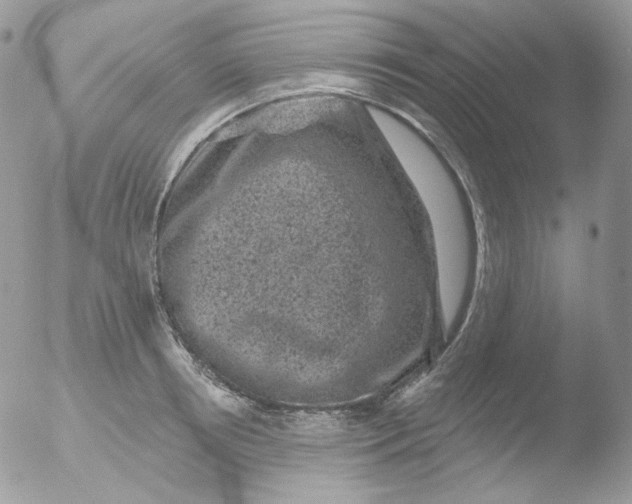 X0000051890850200507151937