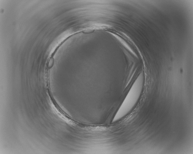 X0000051890851200507151937