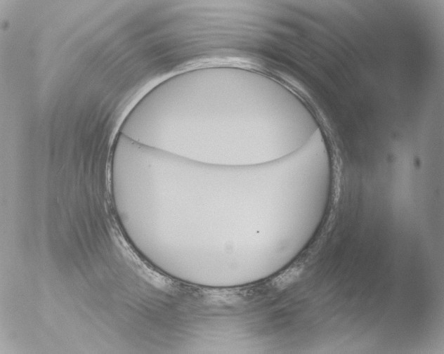 X0000051890852200507151937