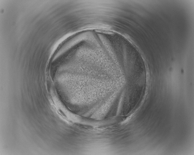 X0000051890854200507151937