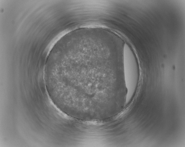 X0000051890855200507151937