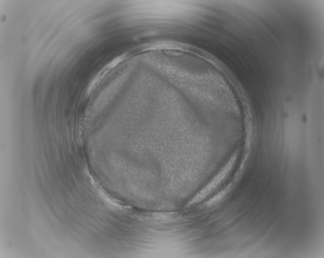 X0000051890857200507151937