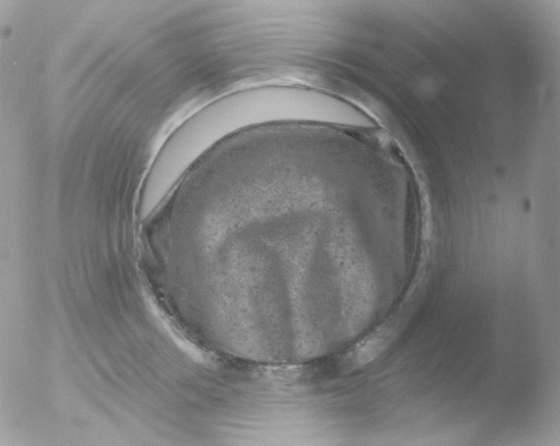 X0000051890858200507151937