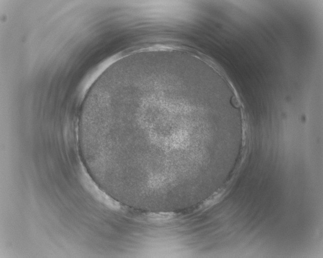 X0000051890859200507151937