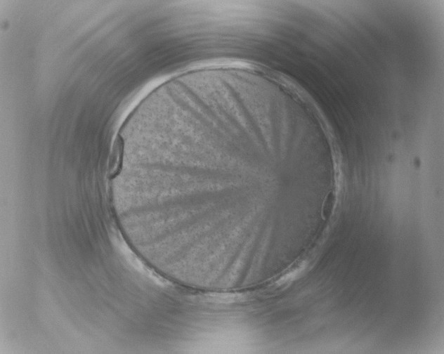 X0000051890860200507151937