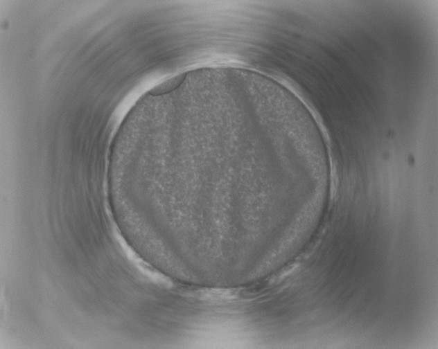 X0000051890861200507151937