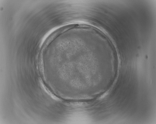 X0000051890862200507151937