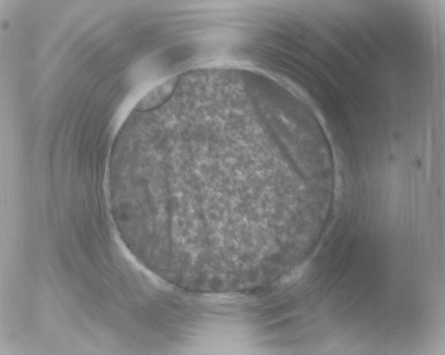 X0000051890863200507151937