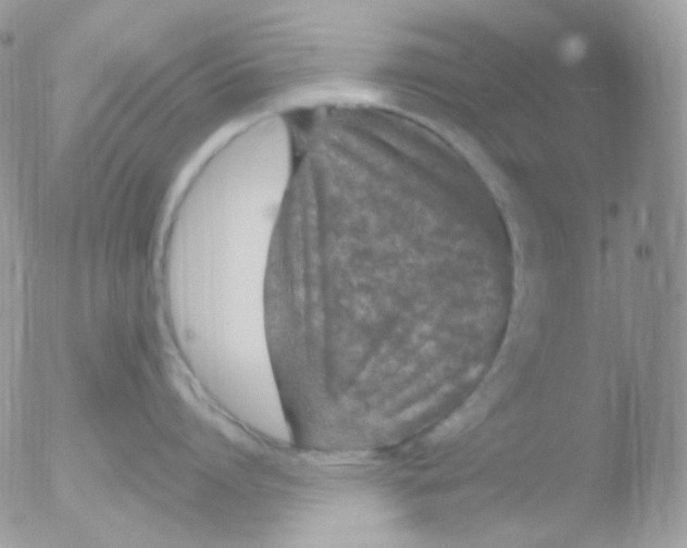 X0000051890864200507151937