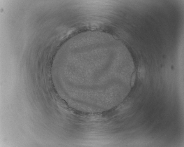 X0000051890865200507151936